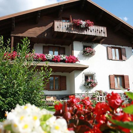 Chalet Stelvio ボルミオ エクステリア 写真