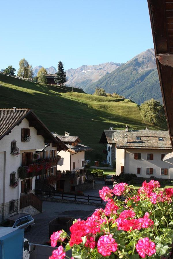 Chalet Stelvio ボルミオ エクステリア 写真